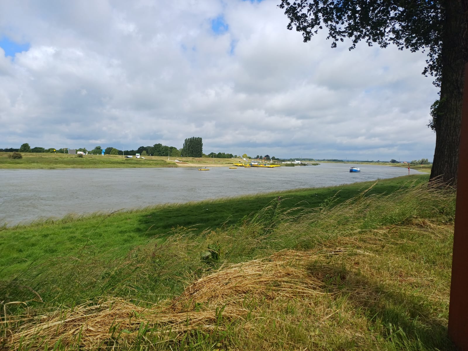 Foto: Tijn Tiedink - Omroep Liemers