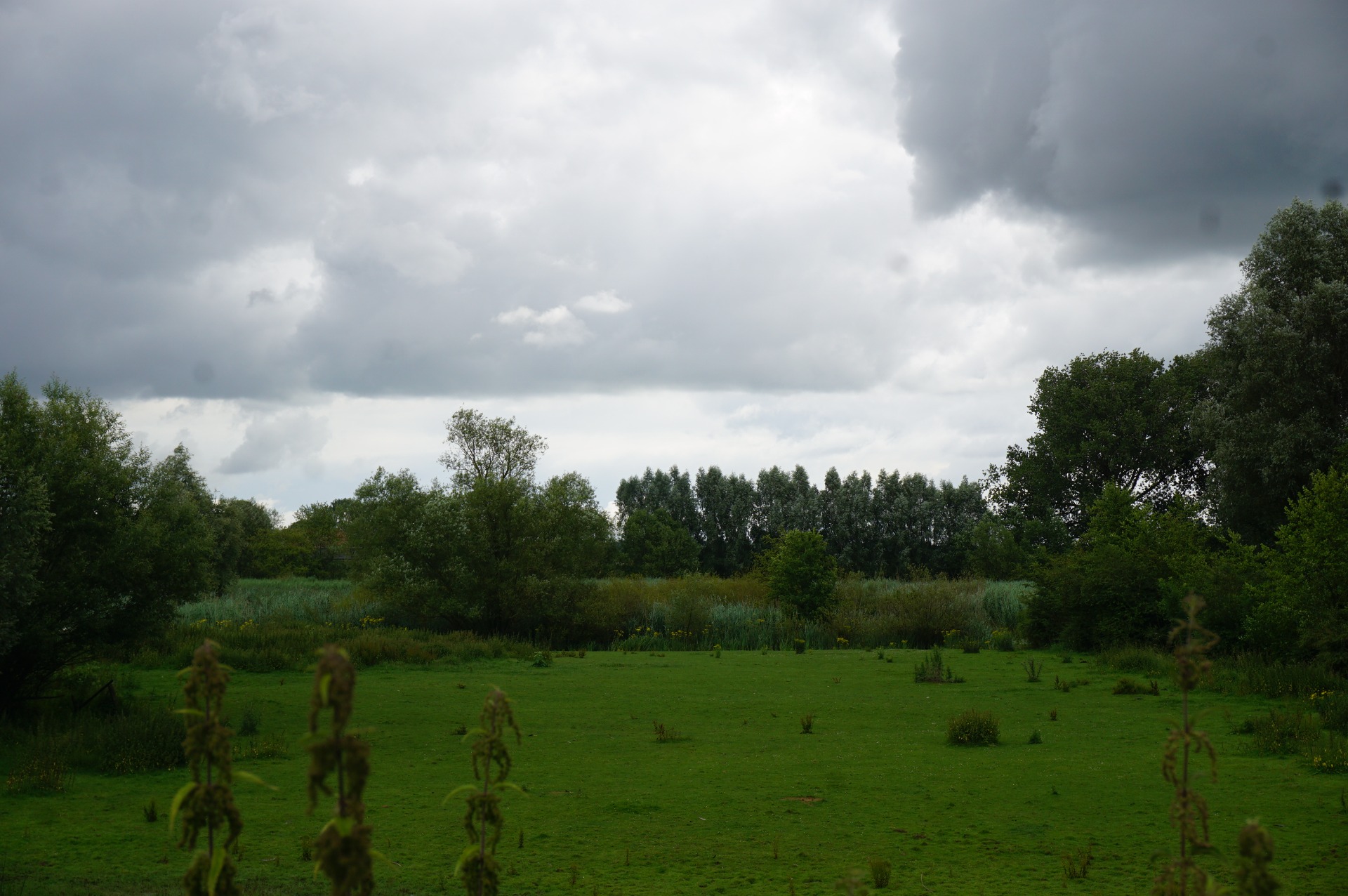 Foto: Tijn Tiedink - Omroep Liemers